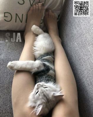 深夜视频在线播放_1080P电影完整版