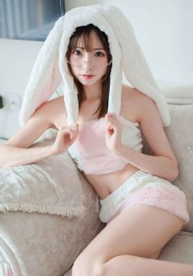 《雪豹》电视剧_1080HD高清在线观看