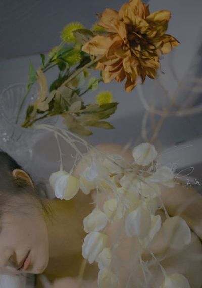 李梅高强官场小说全文阅读_DVD完整视频观看