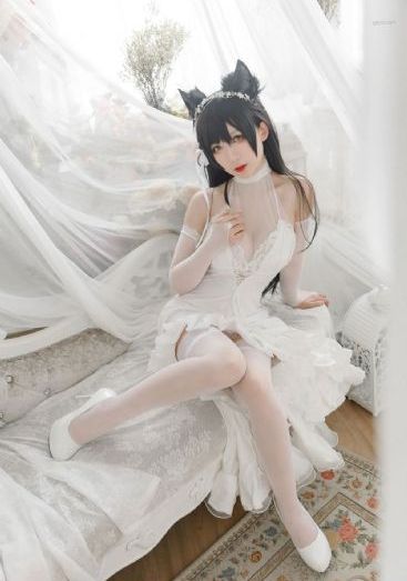 免费看三片_高清高清视频播放