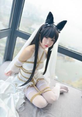 半碗村传奇电影免费观看完整版_国产在线视频