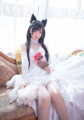 父辈的荣耀电视剧免费观看完整版_DVD免费在线播放